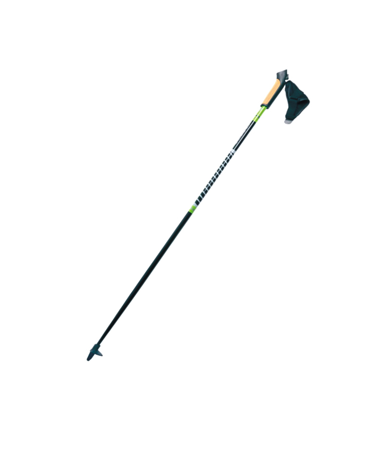 Ski Pole With Cork Handle