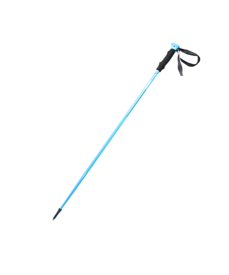 Ski Pole With EVA Handle