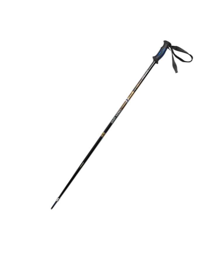 Ski Pole With PP Handle