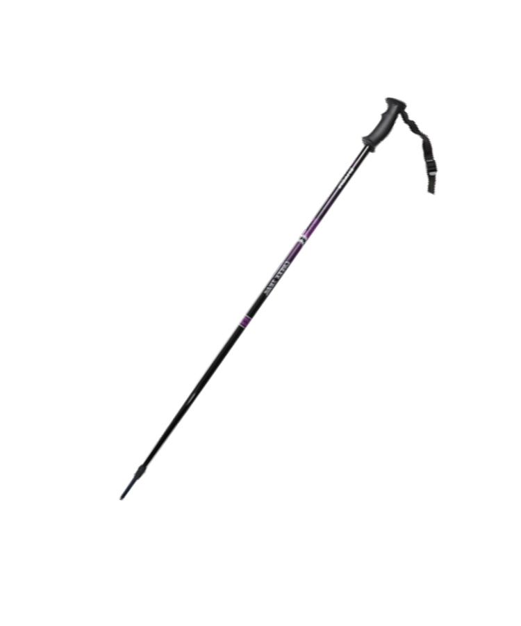 Ski Pole With PP Handle