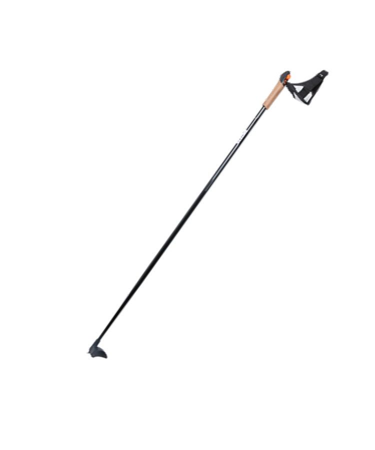Ski Pole With Cork Handle