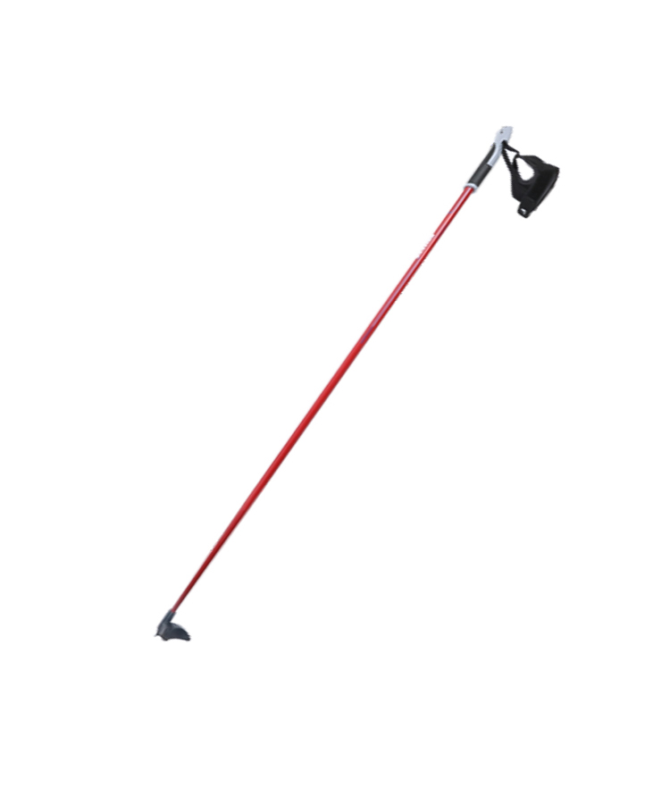 Lightweigh Ski Pole