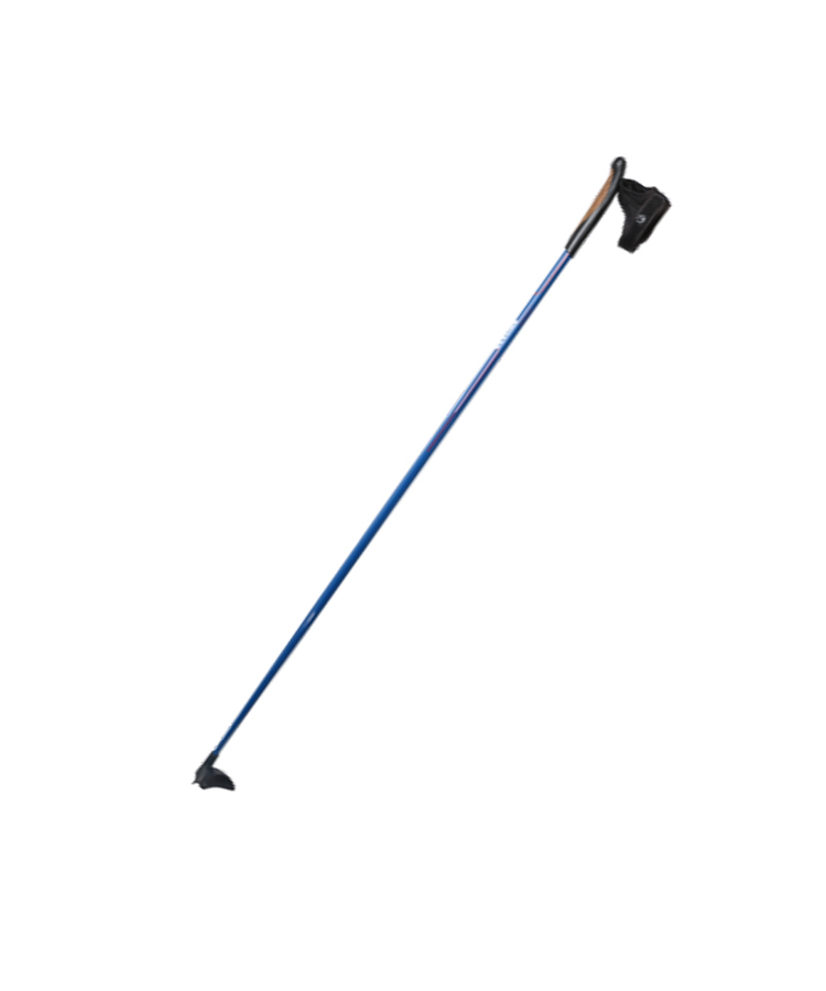 Ski Pole With Cork Handle