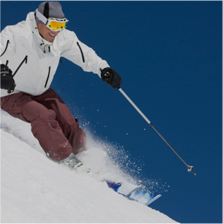 Ski Pole