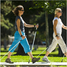 Walking Pole